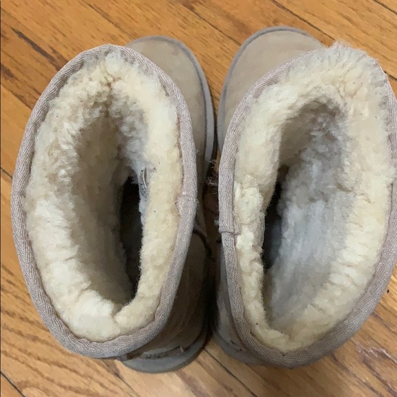 Tan Uggs - Picture 4 of 6